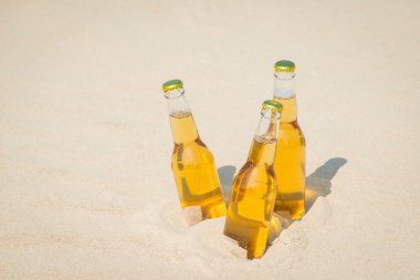 Buz soğuk bira şişeleri kum güneşin altında