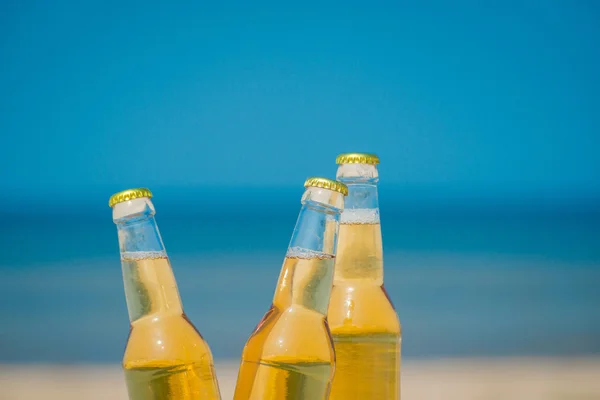 Buz soğuk bira şişeleri kum güneşin altında — Stok fotoğraf