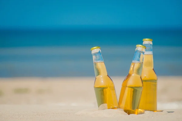 Bouteilles de bière glacée dans le sable sous le soleil — Photo