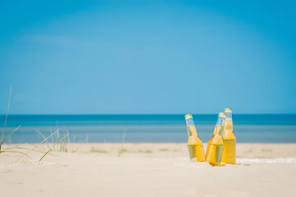 Buz soğuk bira şişeleri kum güneşin altında — Stok fotoğraf