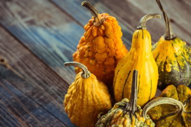 Dekoratif kabak koyu ahşap bir masa üzerinde