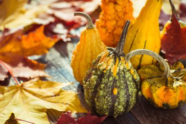 Dekoratif kabak koyu ahşap bir masa üzerinde