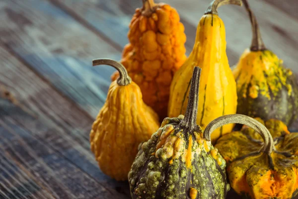 Dekoratif kabak koyu ahşap bir masa üzerinde