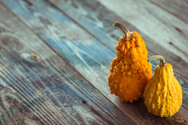 Dekoratif kabak koyu ahşap bir masa üzerinde