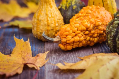 Dekoratif kabak koyu ahşap bir masa üzerinde
