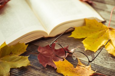 Gözlükleri ile kitap ve sonbahar yaprakları masaya