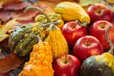 Dekoratif su kabakları ve koyu ahşap bir masa üzerinde elma