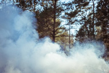 Orman yangını. Ormanın içinde yoğun duman bulutları