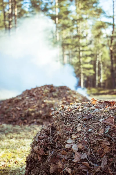 Bonfire. Dry autumn  leaves burning with lots of smoke