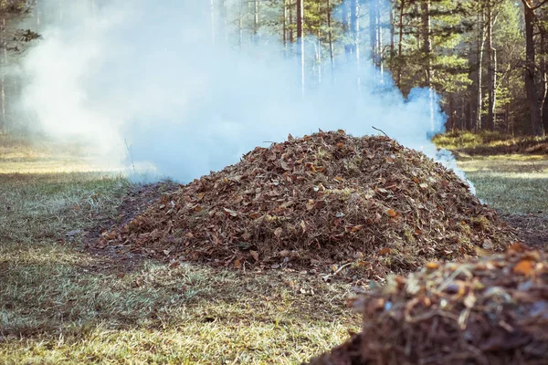 Bonfire. Dry autumn  leaves burning with lots of smoke