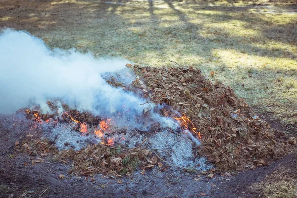 Bonfire. Dry autumn  leaves burning with lots of smoke