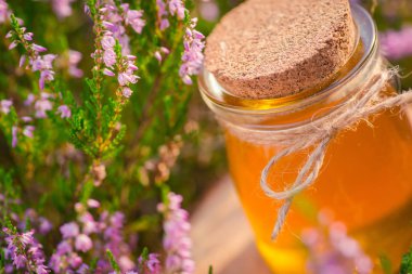 Tatlım. Heather Bush doğal heather bal ile jar