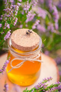 Tatlım. Heather Bush doğal heather bal ile jar