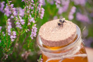 Tatlım. Heather Bush doğal heather bal ile jar