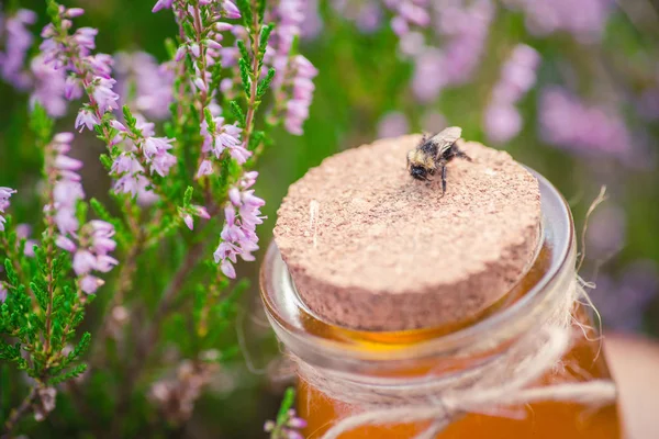 Tatlım. Heather Bush doğal heather bal ile jar