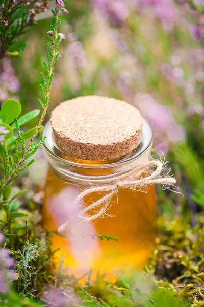 Tatlım. Heather Bush doğal heather bal ile jar