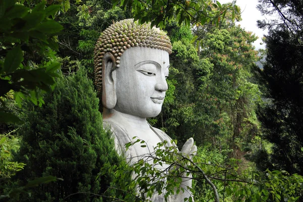 Buda heykeli ağaçların arkasında. Çene Swee Tapınağı, Malezya — Stok fotoğraf