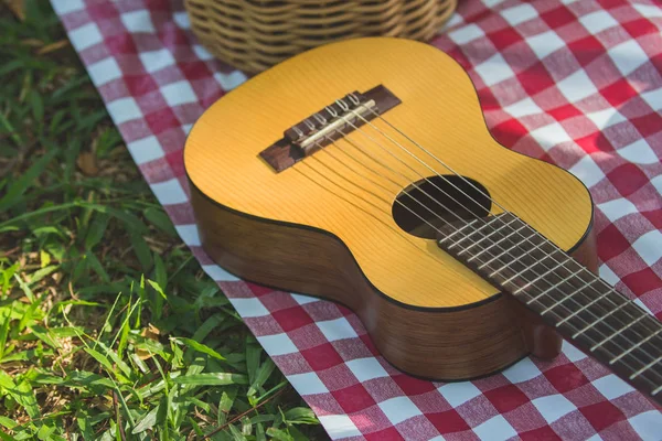 A guitar on a picnic mat. Outdoors recreation concept.