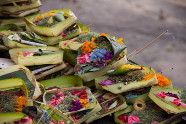 Renkli egzotik çiçekler ve incenses yığılmış. Bali dili geleneğinde Hindu Tanrı'nın teklifleri