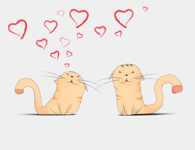 İçinde aşk cats çift kartpostal