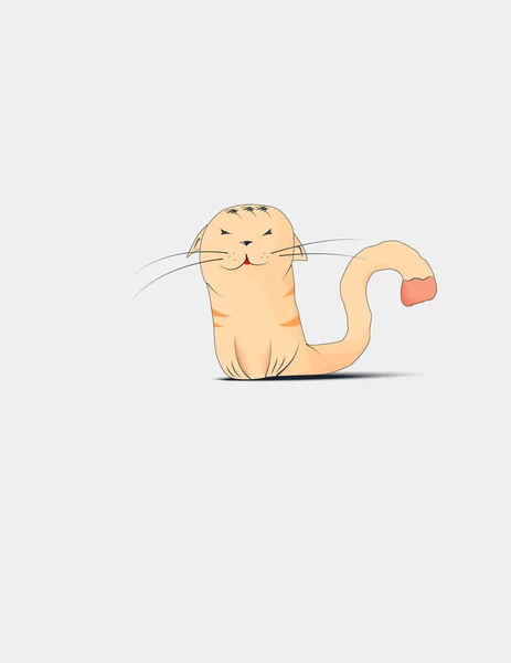 Enamorado el gato . — Vector de stock