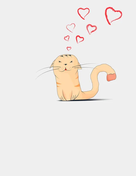 Enamorado el gato . — Vector de stock