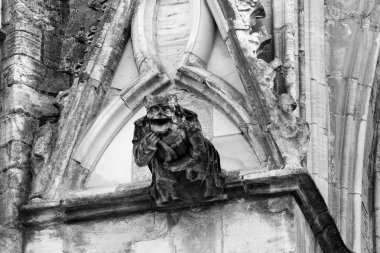 York Minster Gargoyle D