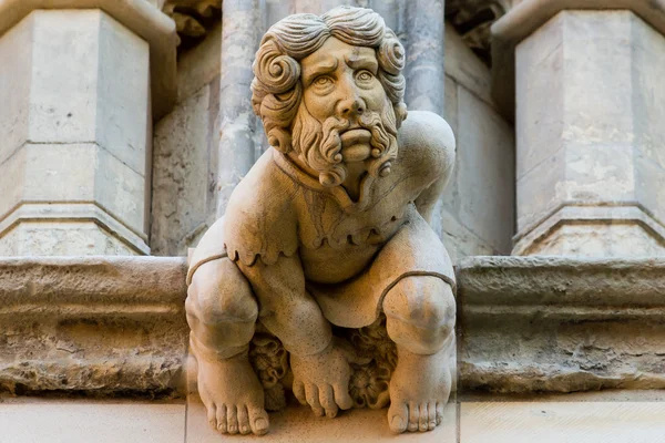 York Minster Gargoyle J — Stockfoto