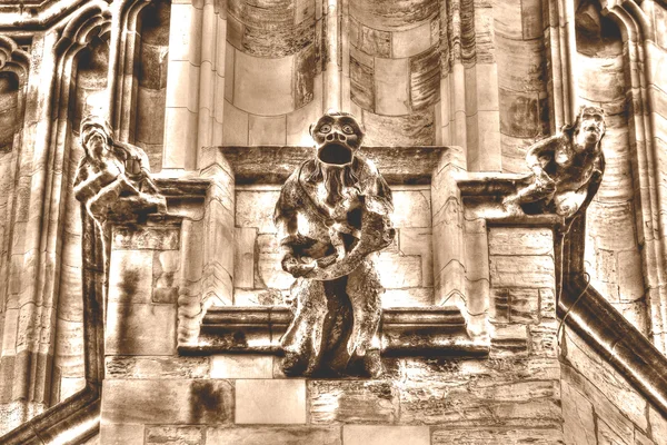 York Minster chrlič E Hdr Sépiový tón — Stock fotografie