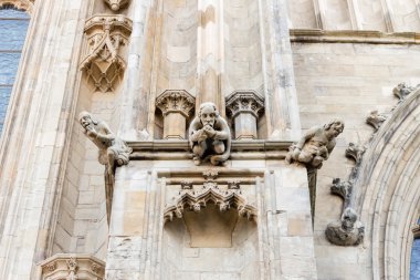 York Minster Gargoyle H