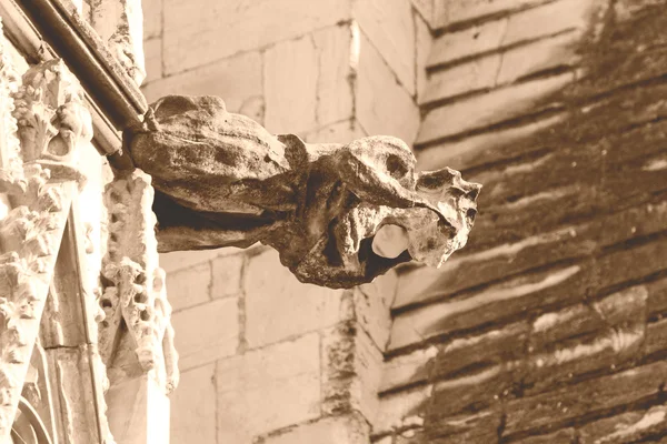 约克大教堂石像鬼棕褐色调 — 图库照片
