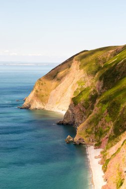 Jurassic Coast Devon'da A
