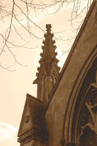 维多利亚时代的蜘蛛塔 a 在西皮娅·托内 — 图库照片