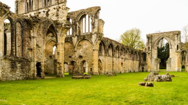 Netley Abbey G Cistercian Manastırı kalıntıları