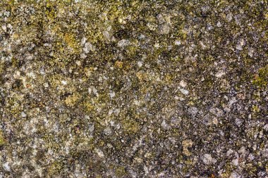 Taş doku background C