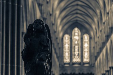 Salisbury Katedrali 'nde Poppy Head Bench son A