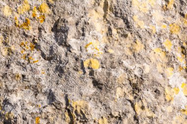 Portland taş doku C