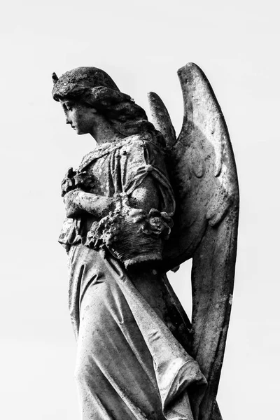 Cementerio Estatua de un ángel —  Fotos de Stock