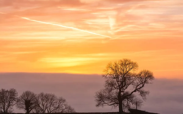 Sziluettjei fa C ellen Sunrise ég arany óra — Stock Fotó