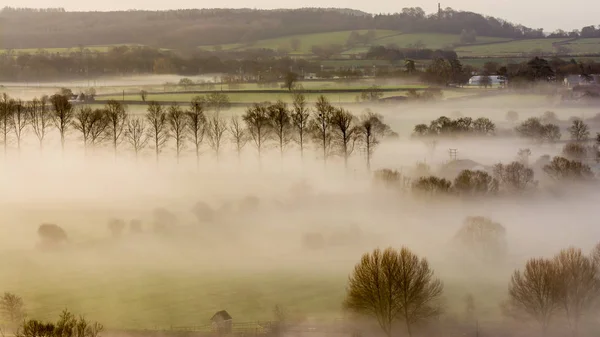 Fák a ködben A Somerset Anglia — Stock Fotó