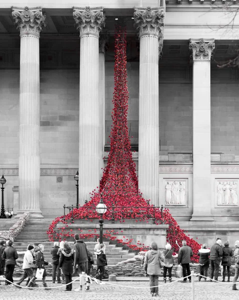 Poppies drapejar St George 's Hall Liverpool — Fotografia de Stock