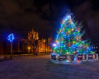Noel ağacı ve Bristol Katedrali B önünde ışıklar