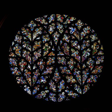 Güney Transept Rose - Bishop'ın göz, Lincoln kedi bardakta lekeli