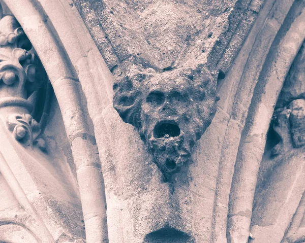 Brunnen Kathedrale Wasserspeier spalten Tonung ein — Stockfoto