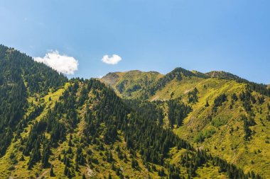 Büyük Almatı Gölü alanında dağlar karla kaplı dorukları bir görüntü. Almatı, Kazakistan. Tien Shan. Zailiysky Alatau