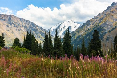 Büyük Almatı Gölü alanında dağlar karla kaplı dorukları bir görüntü. Almatı, Kazakistan. Tien Shan. Zailiysky Alatau