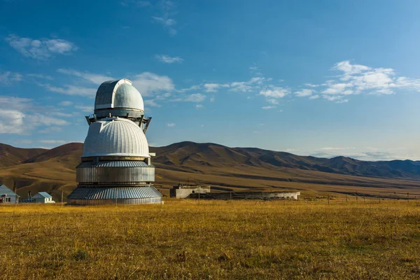 Hästar Bakgrunden Bergen Kazakstan Berg Tien Shan Zailiysky Alatau Kazakstan Royaltyfria Stockfoton