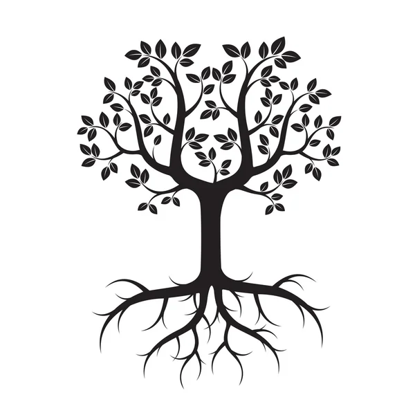 Forma de Árvore com Folhas e Raízes. Ilustração vetorial . —  Vetores de Stock