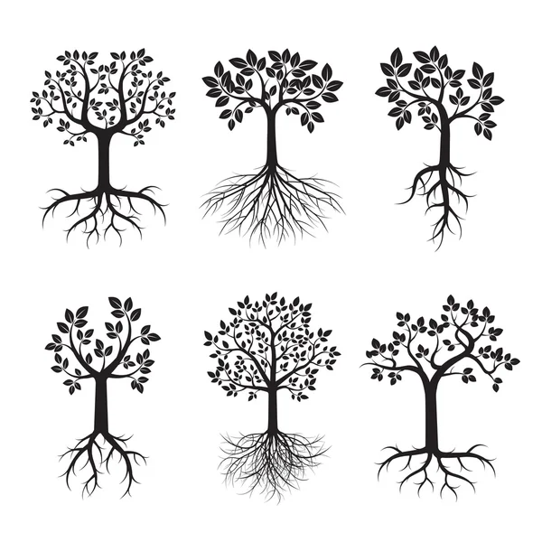 Set of Black Trees and Roots. Vector Illustration. — Stock Vector