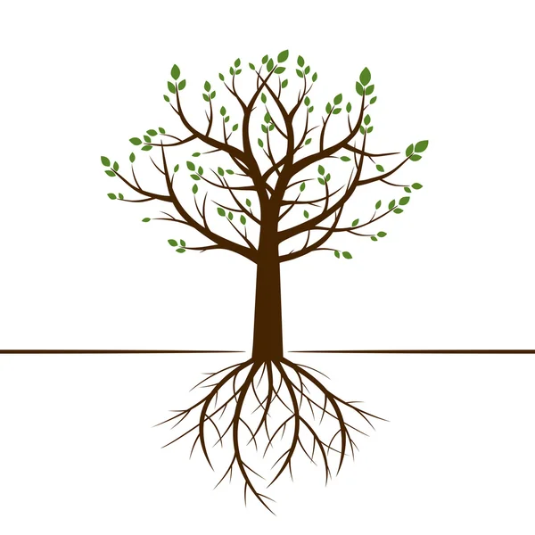 Forma de árbol y raíces. Ilustración vectorial . — Vector de stock